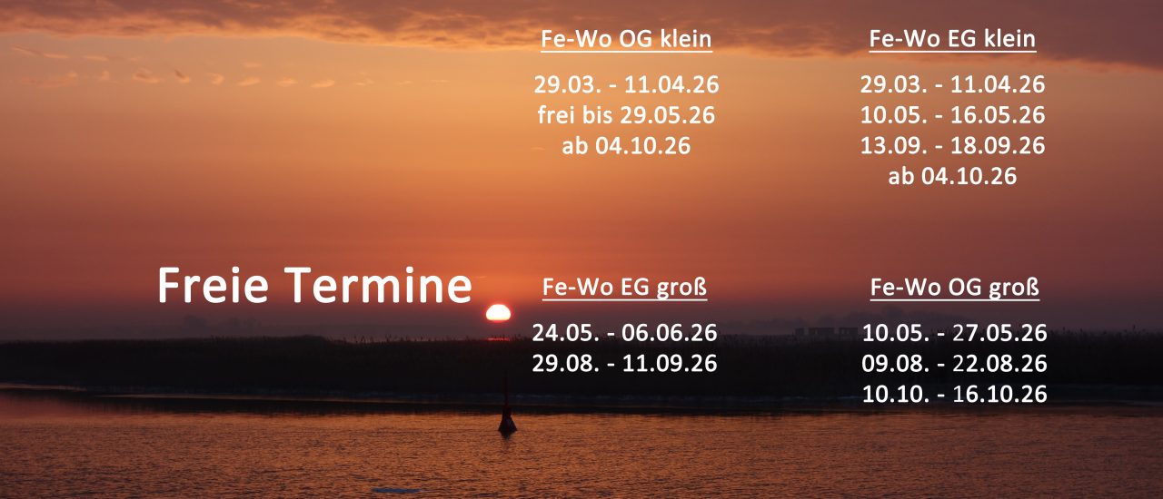 Freie Termine 2026