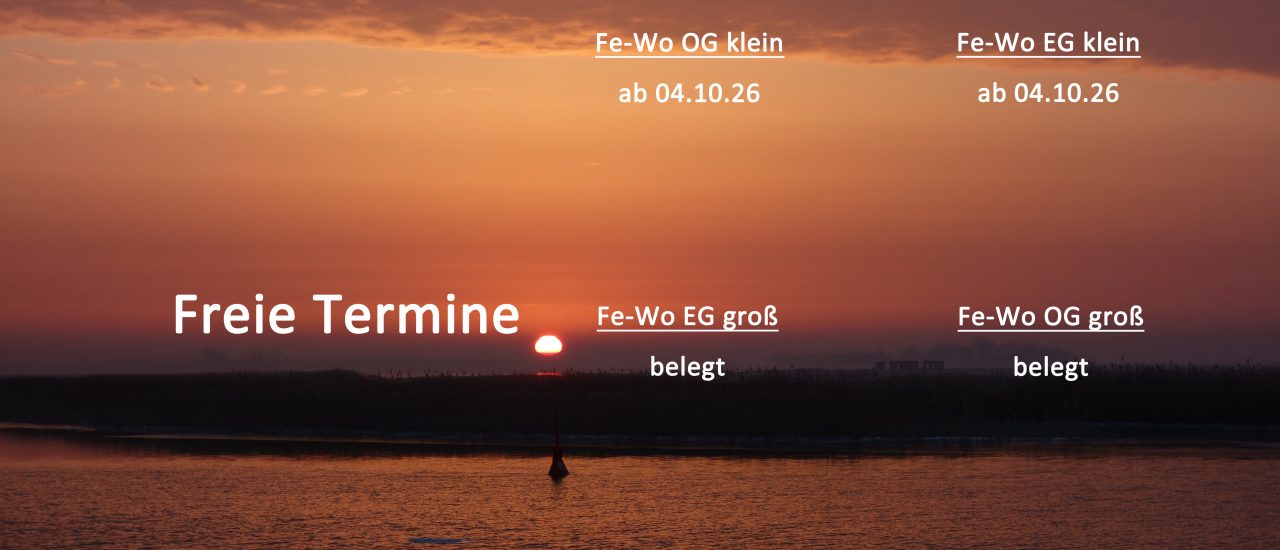 Freie Termine 2026